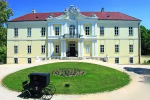 Der falsche Kaiser 5